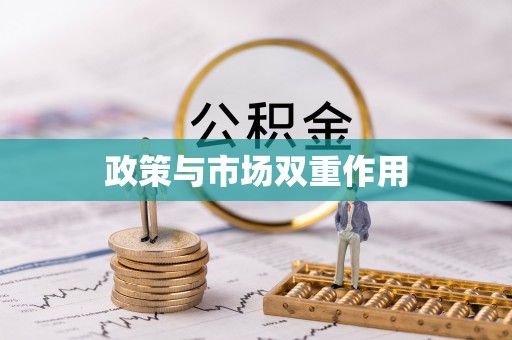 会同政策与市场双重作用