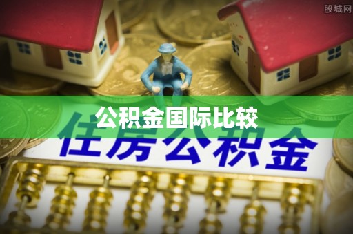 会同公积金国际比较