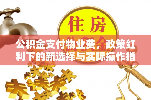 会同公积金支付物业费，政策红利下的新选择与实际操作指南
