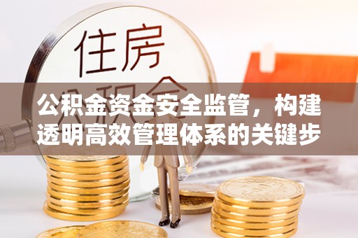 会同公积金资金安全监管，构建透明高效管理体系的关键步骤