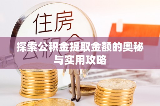 会同探索公积金提取金额的奥秘与实用攻略