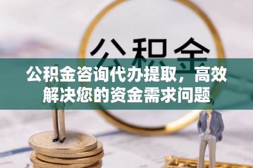 会同公积金咨询代办提取，高效解决您的资金需求问题