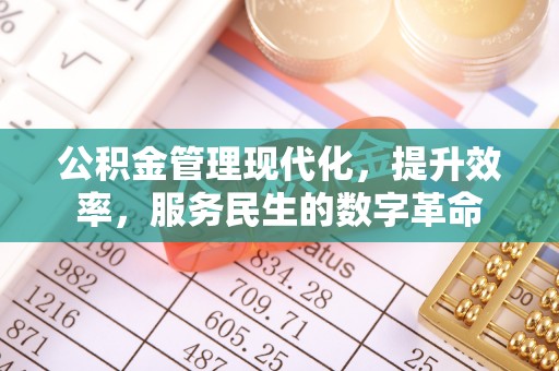 会同公积金管理现代化，提升效率，服务民生的数字革命