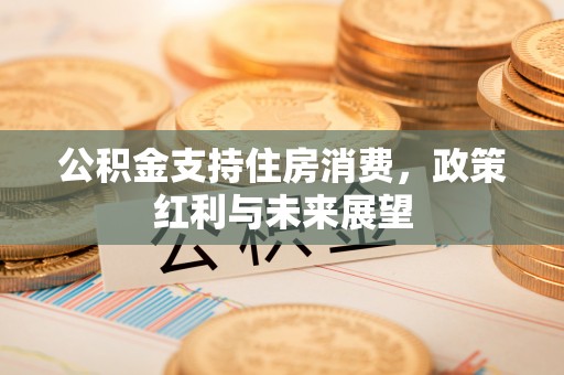 会同公积金支持住房消费，政策红利与未来展望