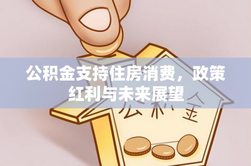 会同公积金支持住房消费，政策红利与未来展望