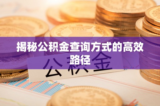会同揭秘公积金查询方式的高效路径